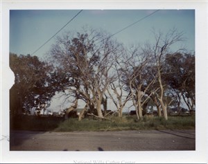 Image description is not available for PHO-4-W689-291